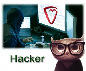 Victor_Miranda_Hacker_Definicion