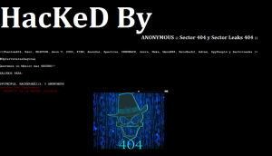 Anonymous-OPCarreterasSeguras-1